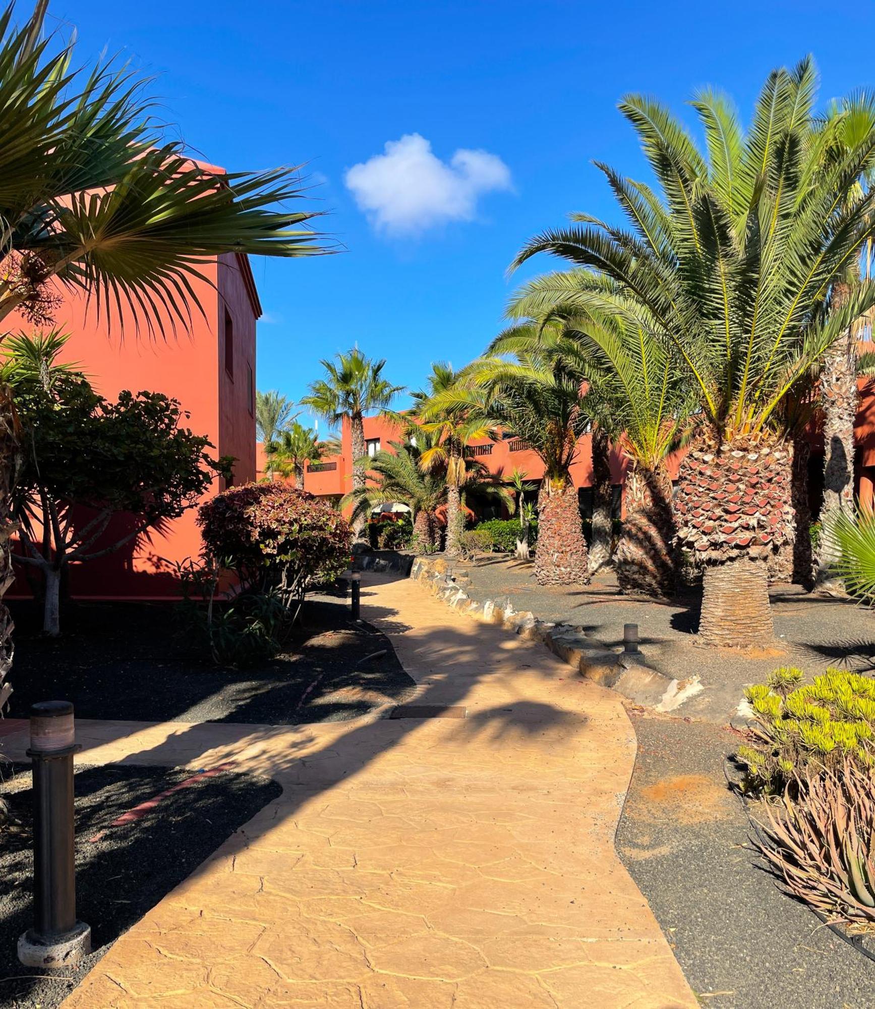 Oasis Tamarindo By Best Holidays Fuerteventura Corralejo Buitenkant foto
