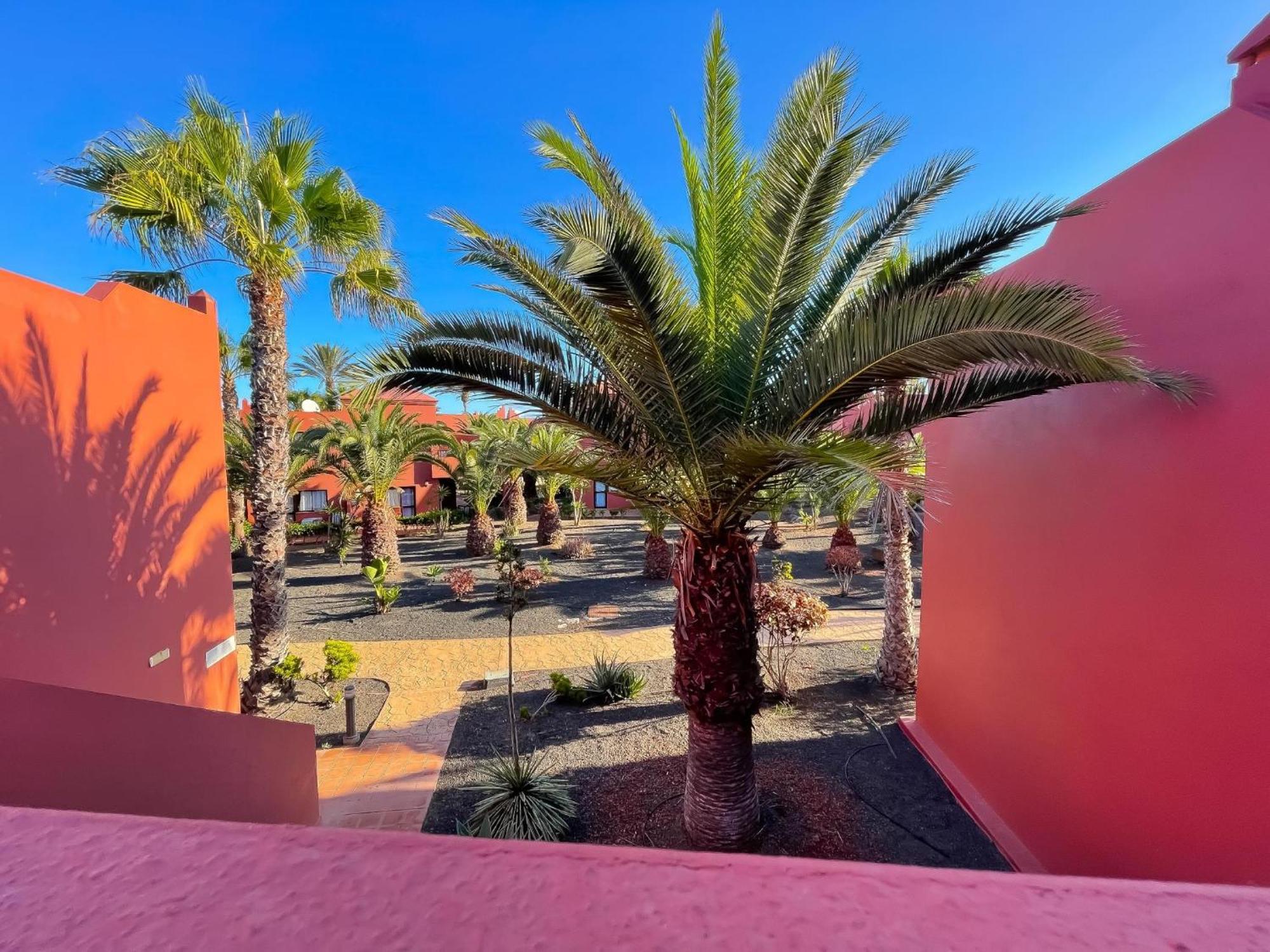 Oasis Tamarindo By Best Holidays Fuerteventura Corralejo Kamer foto